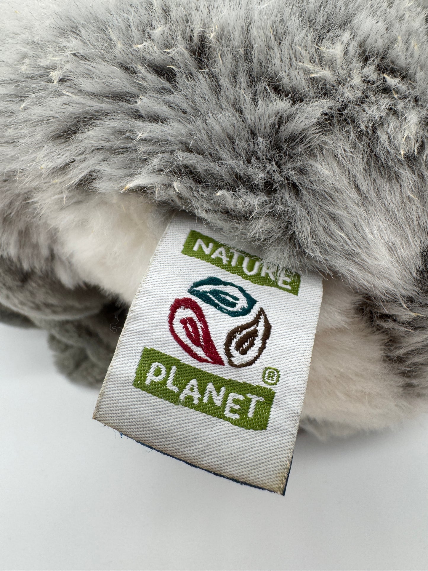 Koala Original Nature Planet