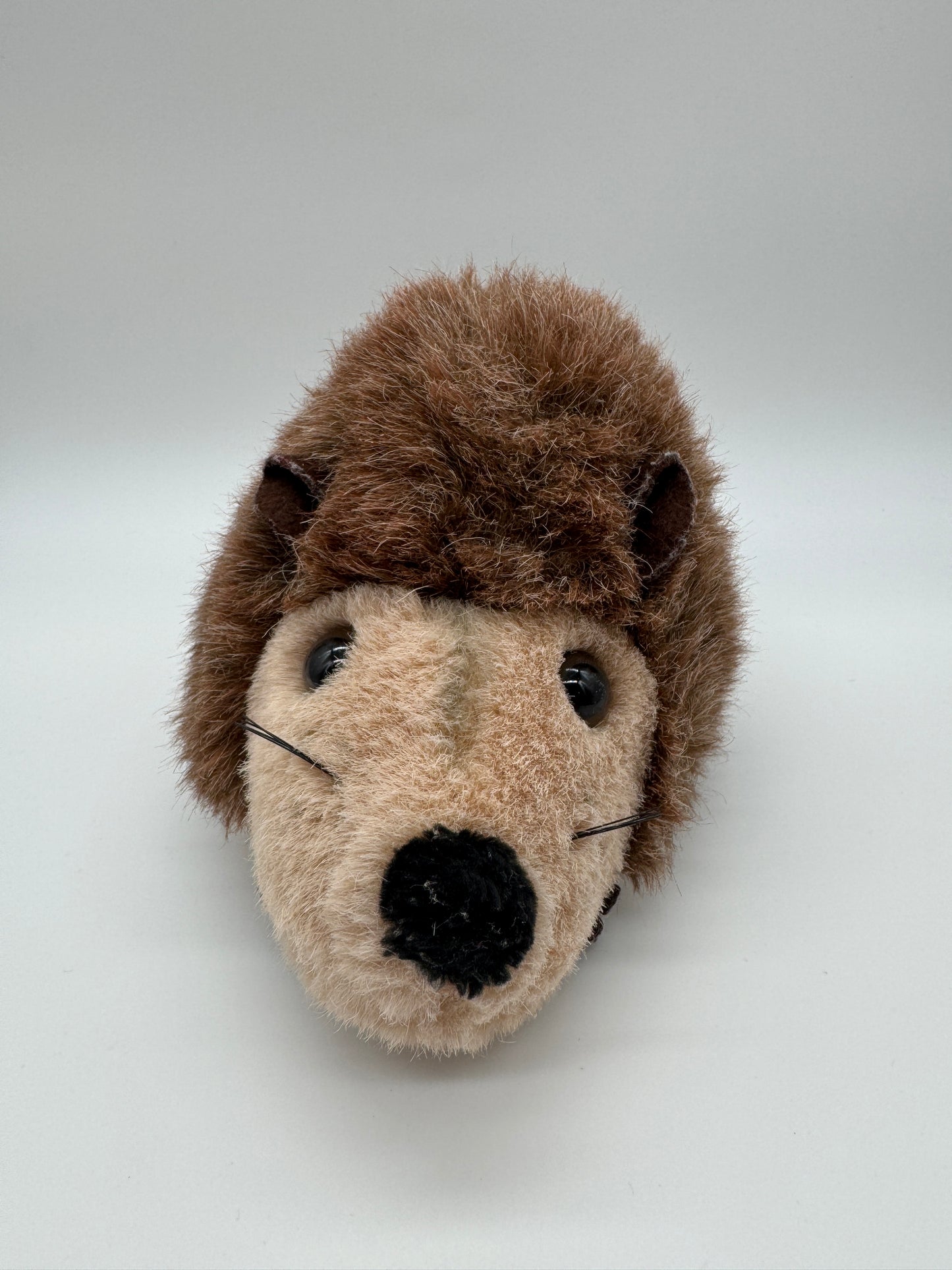 Igel