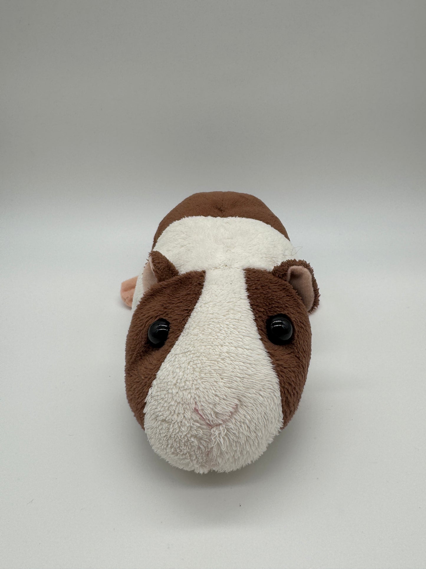Meerschweinchen