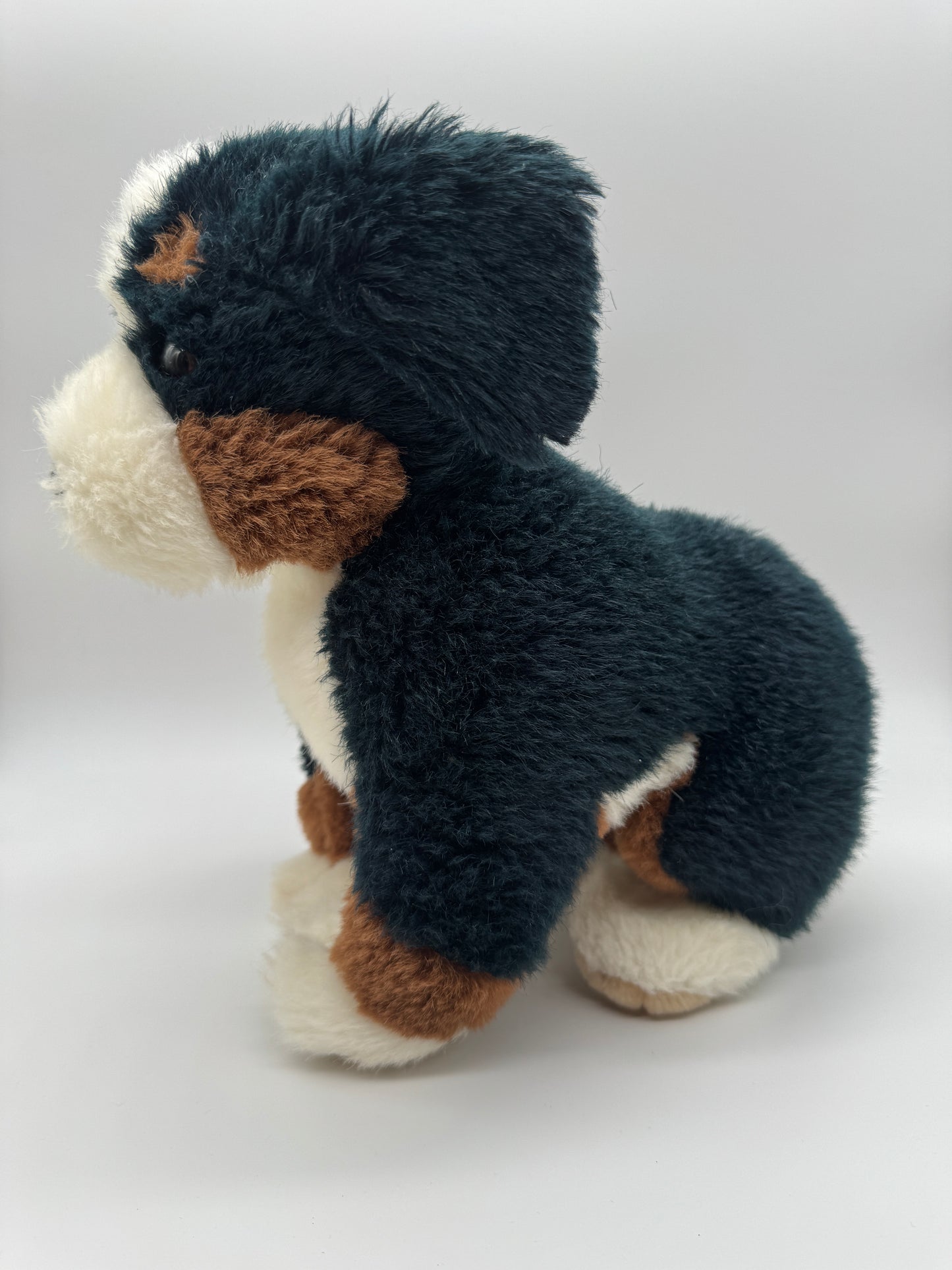 Hund Berner Sennenhund