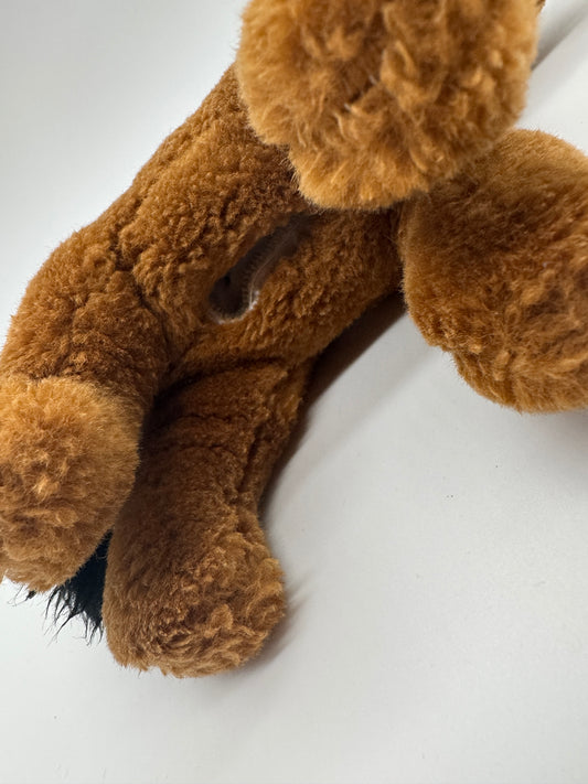 Pferd mit kleiner Tasche