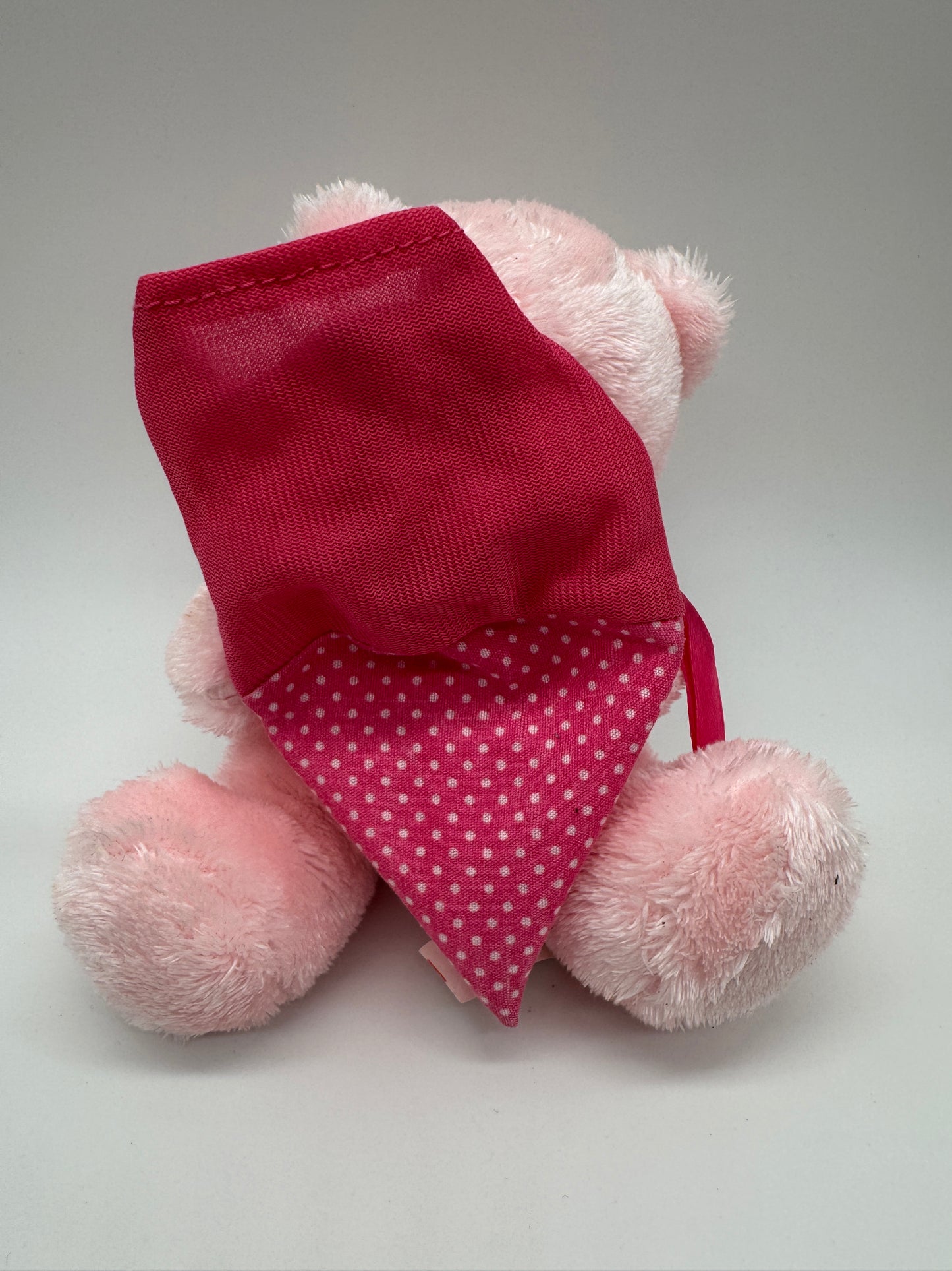 Teddybär mit Schultüte