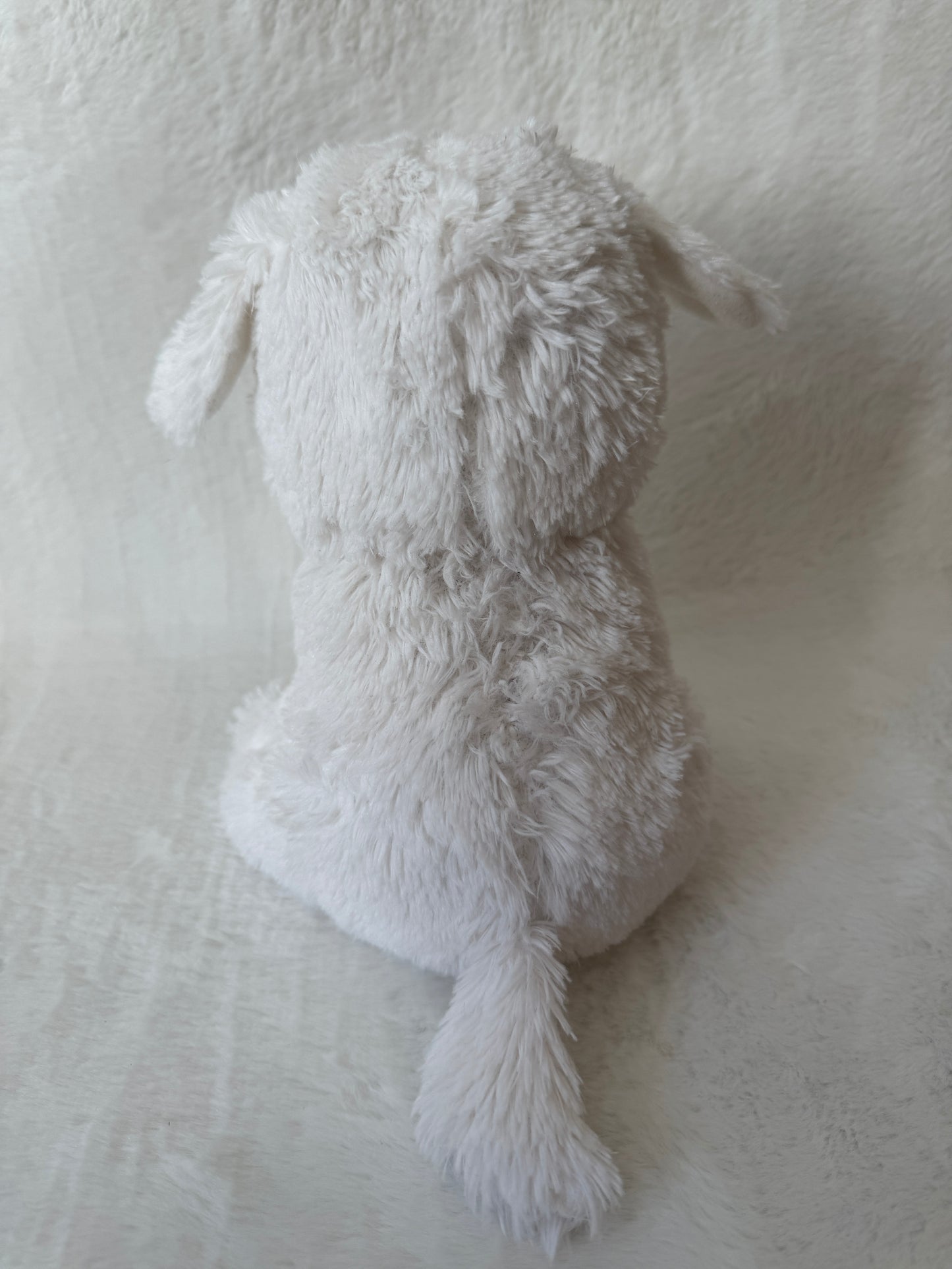 Hund