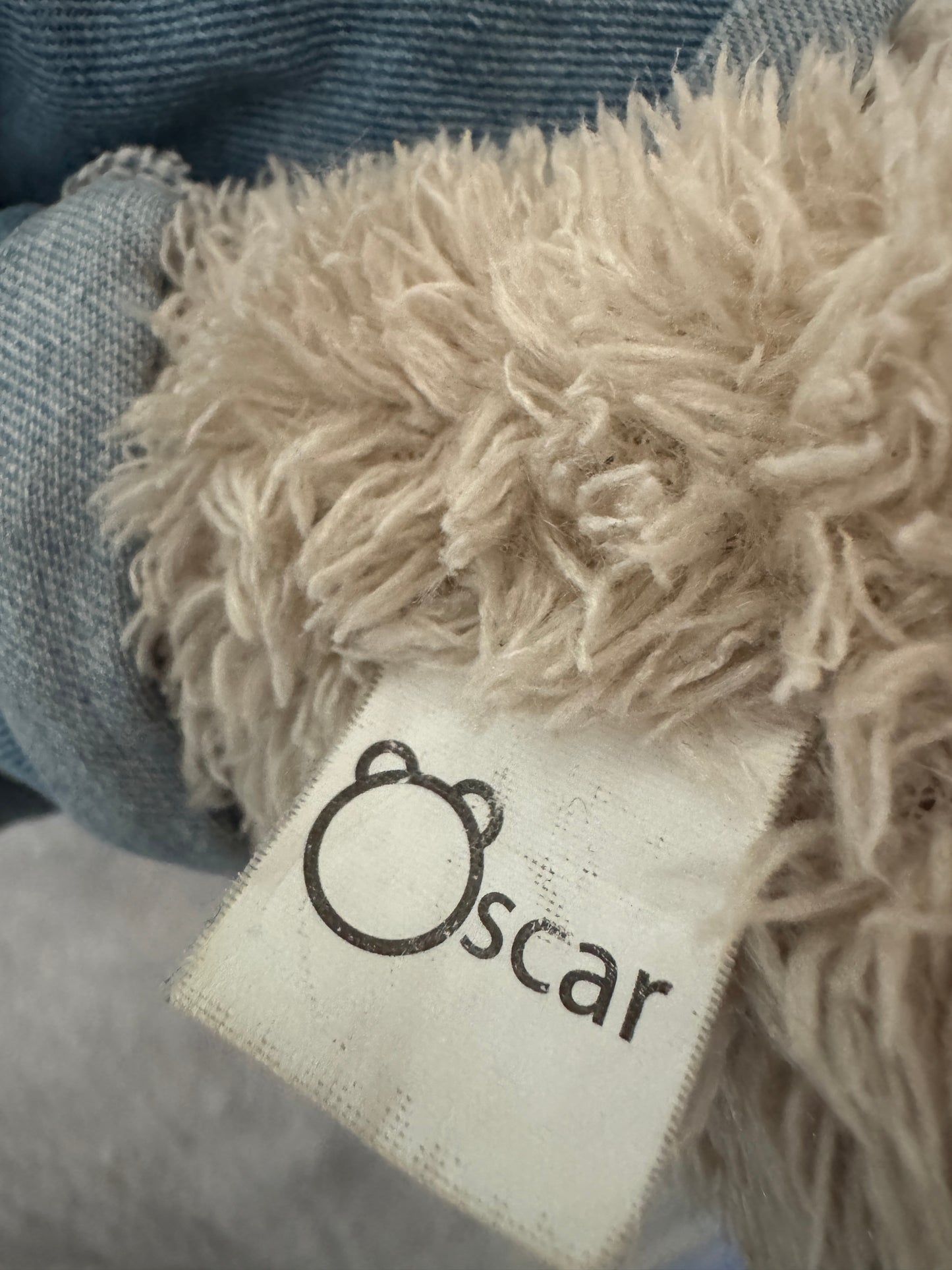 Teddybär