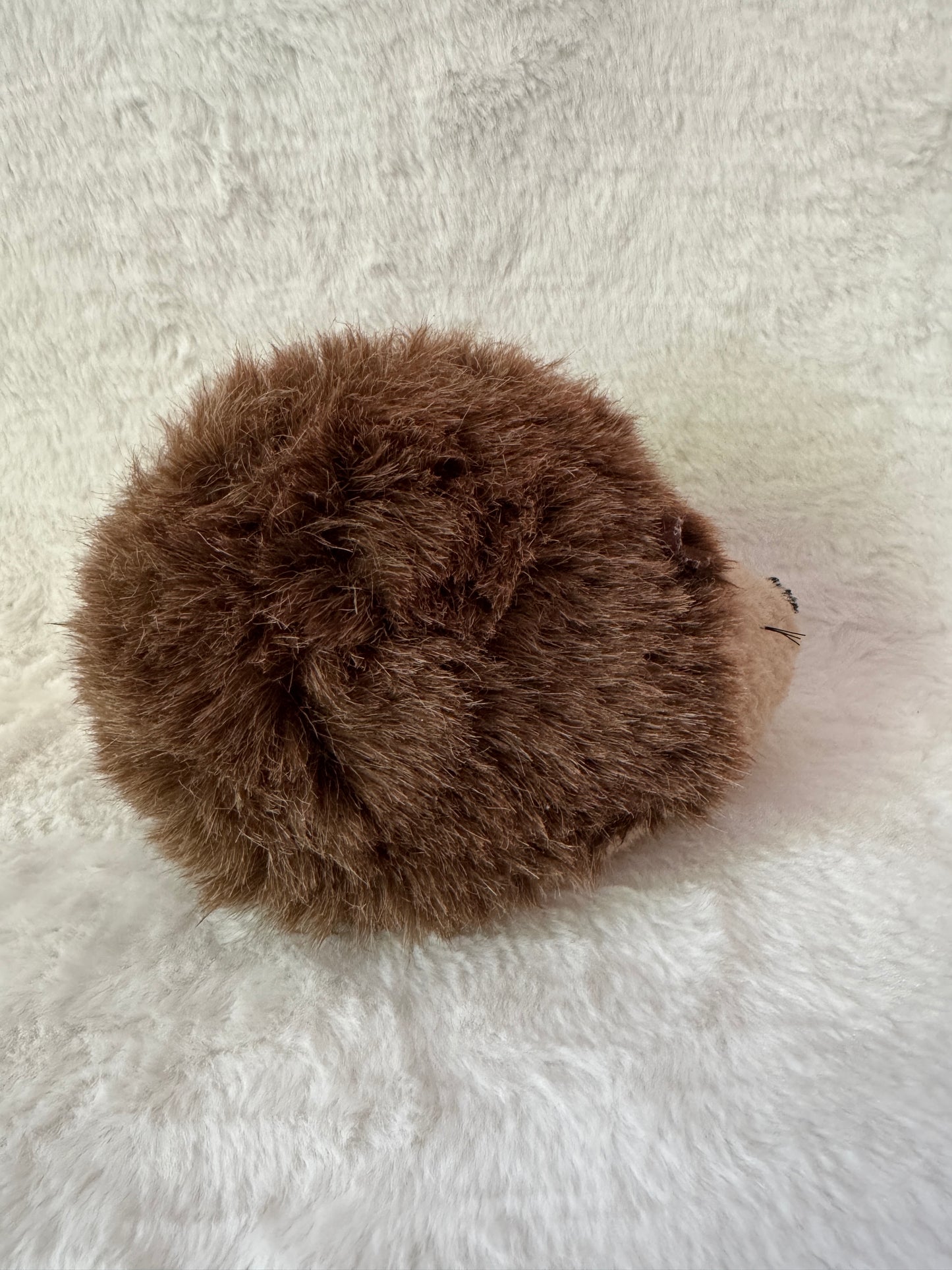 Igel