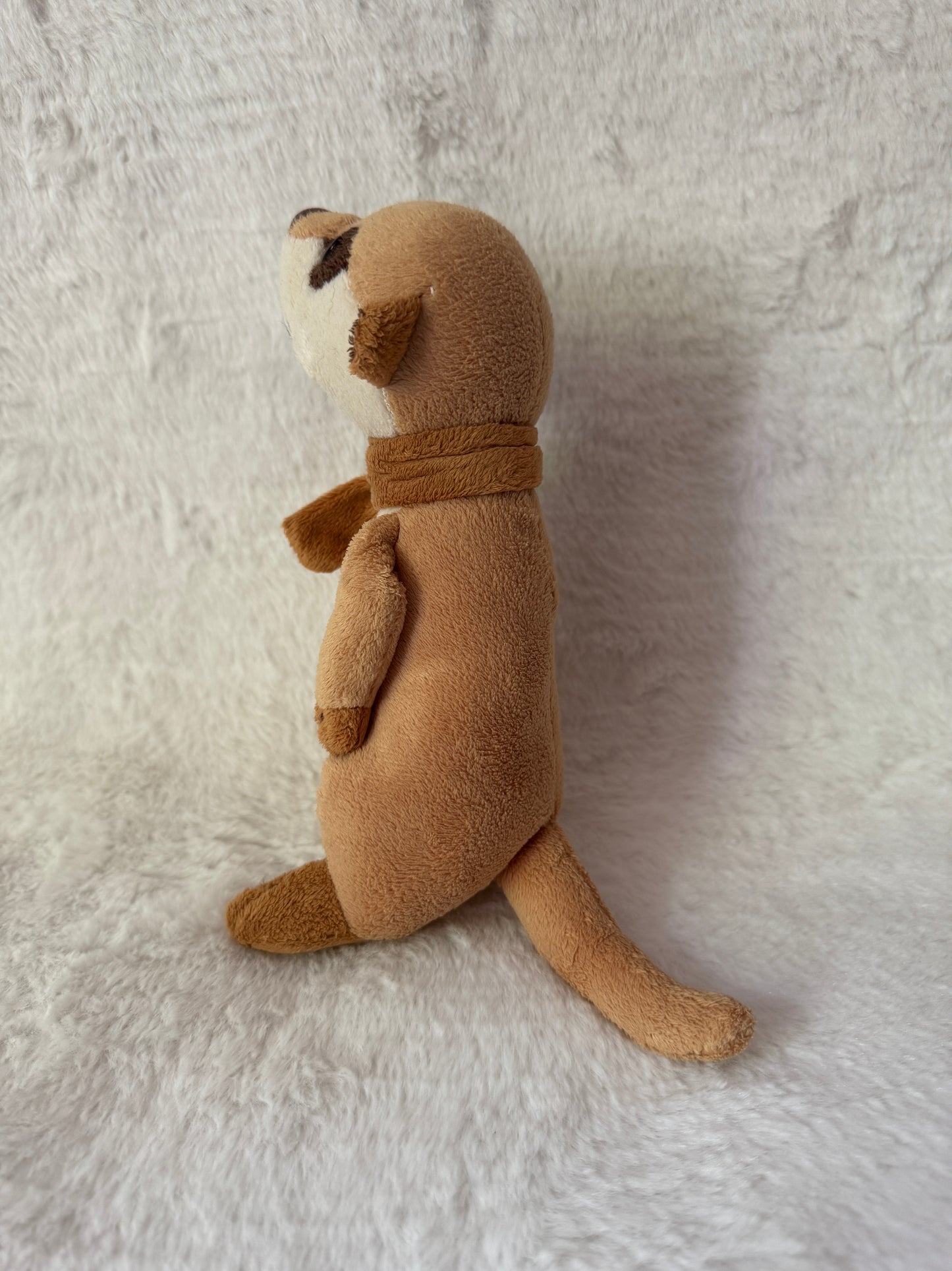 Erdmännchen