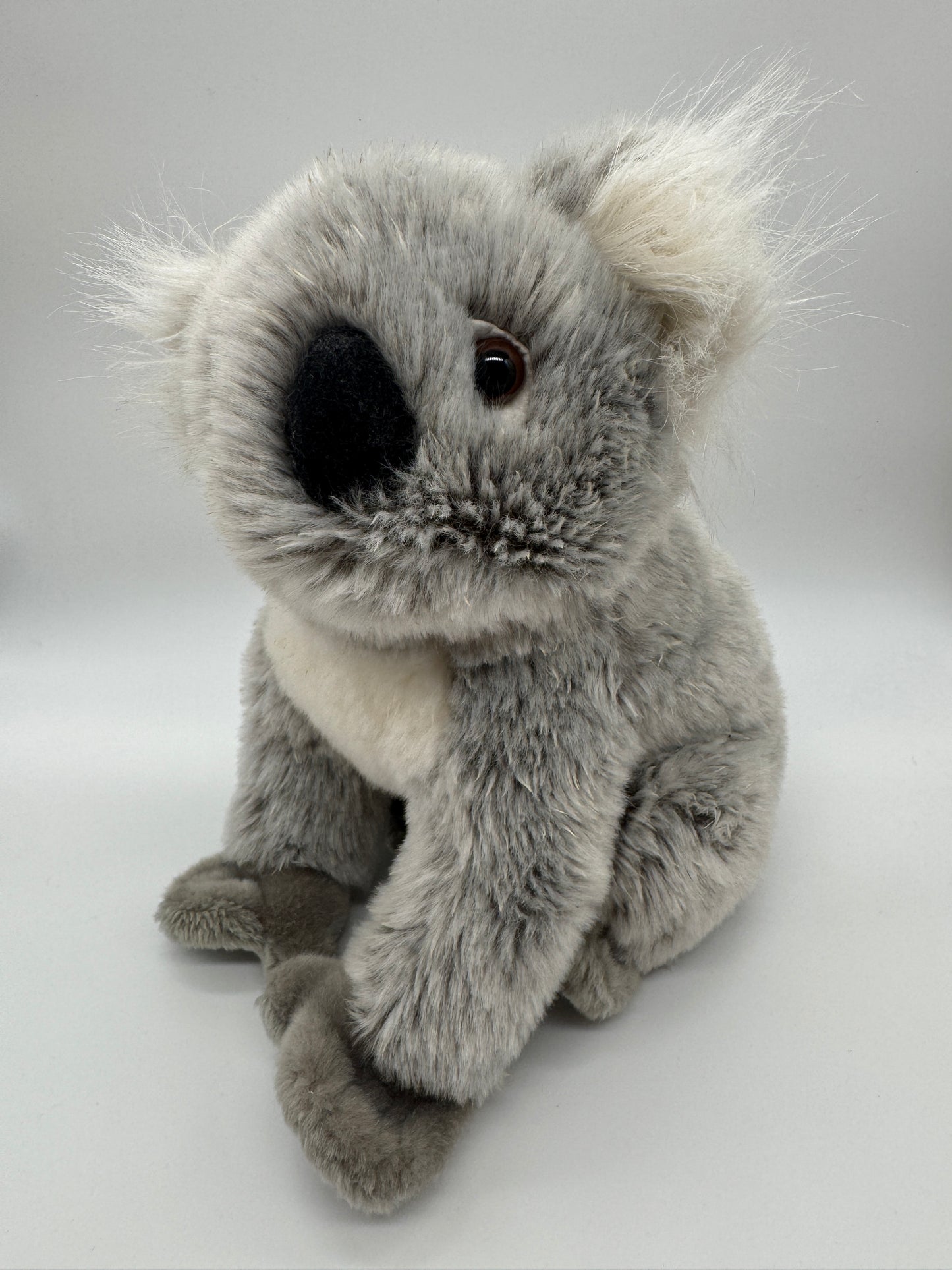 Koala Original Nature Planet