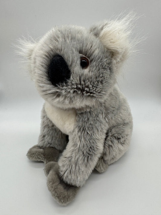 Koala Original Nature Planet