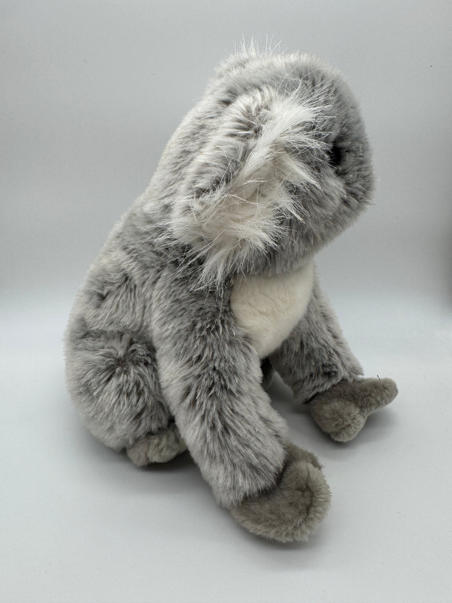 Koala Original Nature Planet