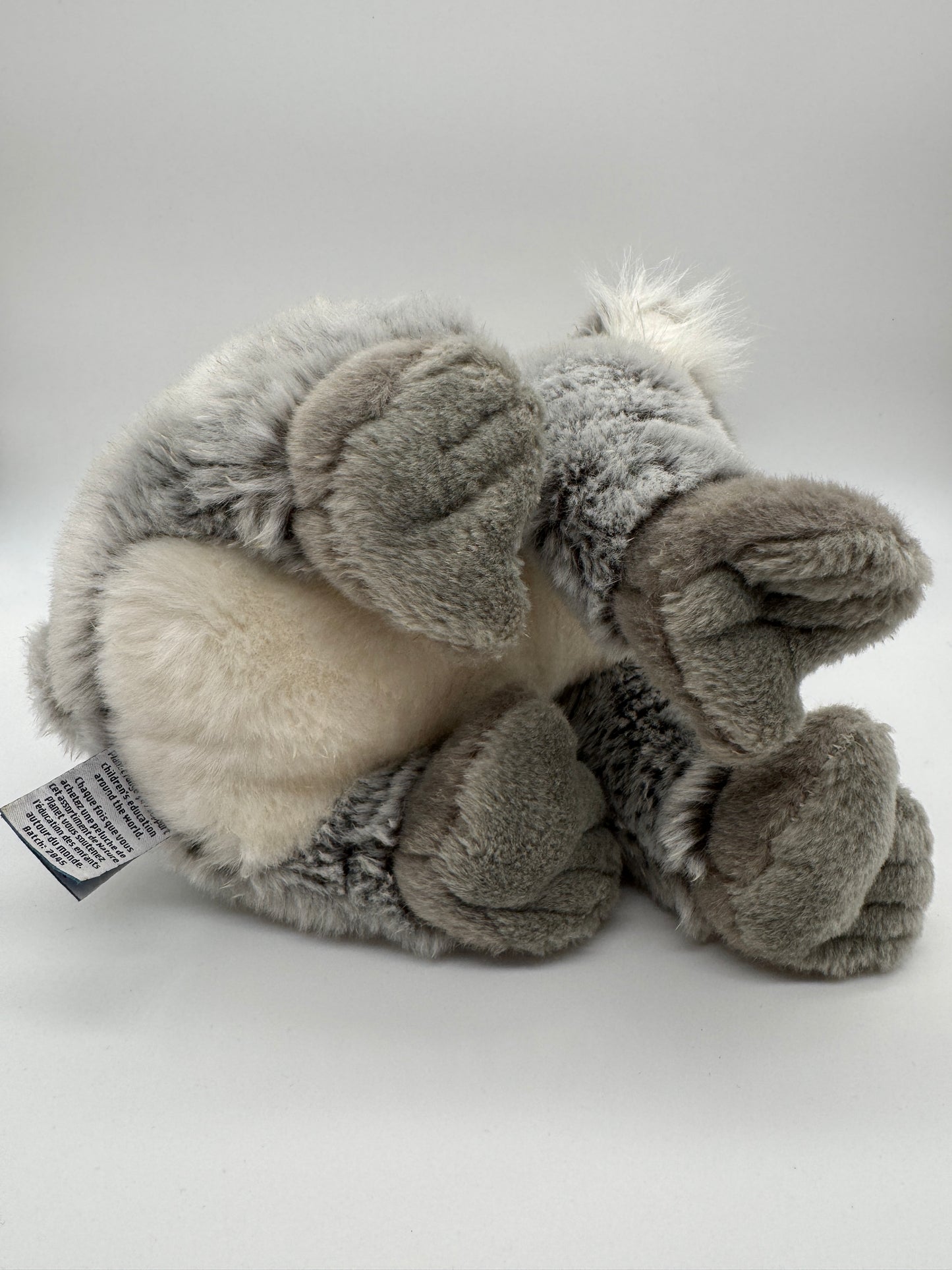 Koala Original Nature Planet
