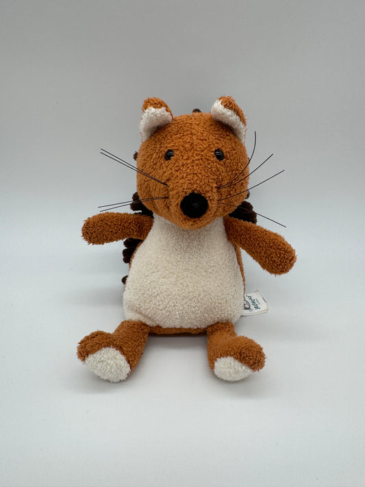 Eichhörnchen