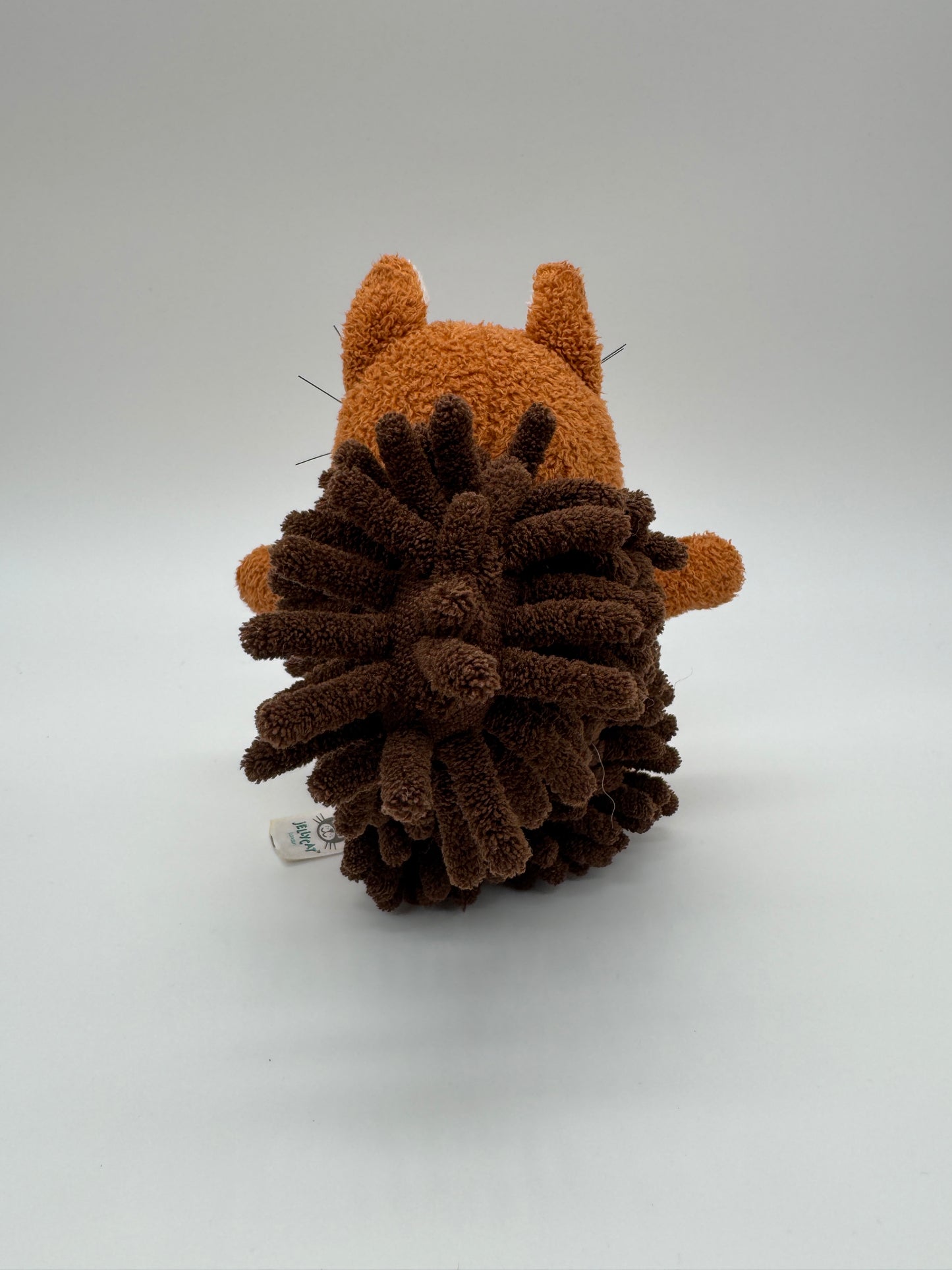 Eichhörnchen