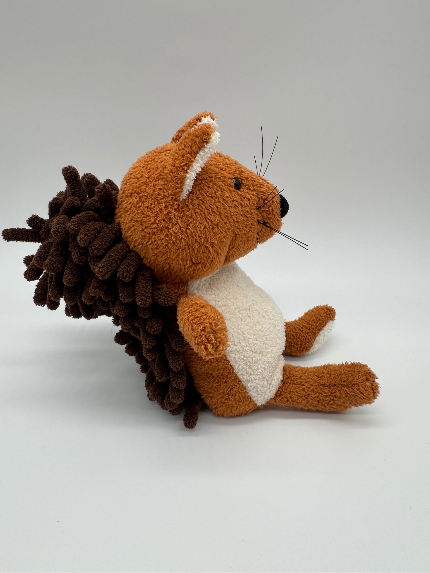 Eichhörnchen