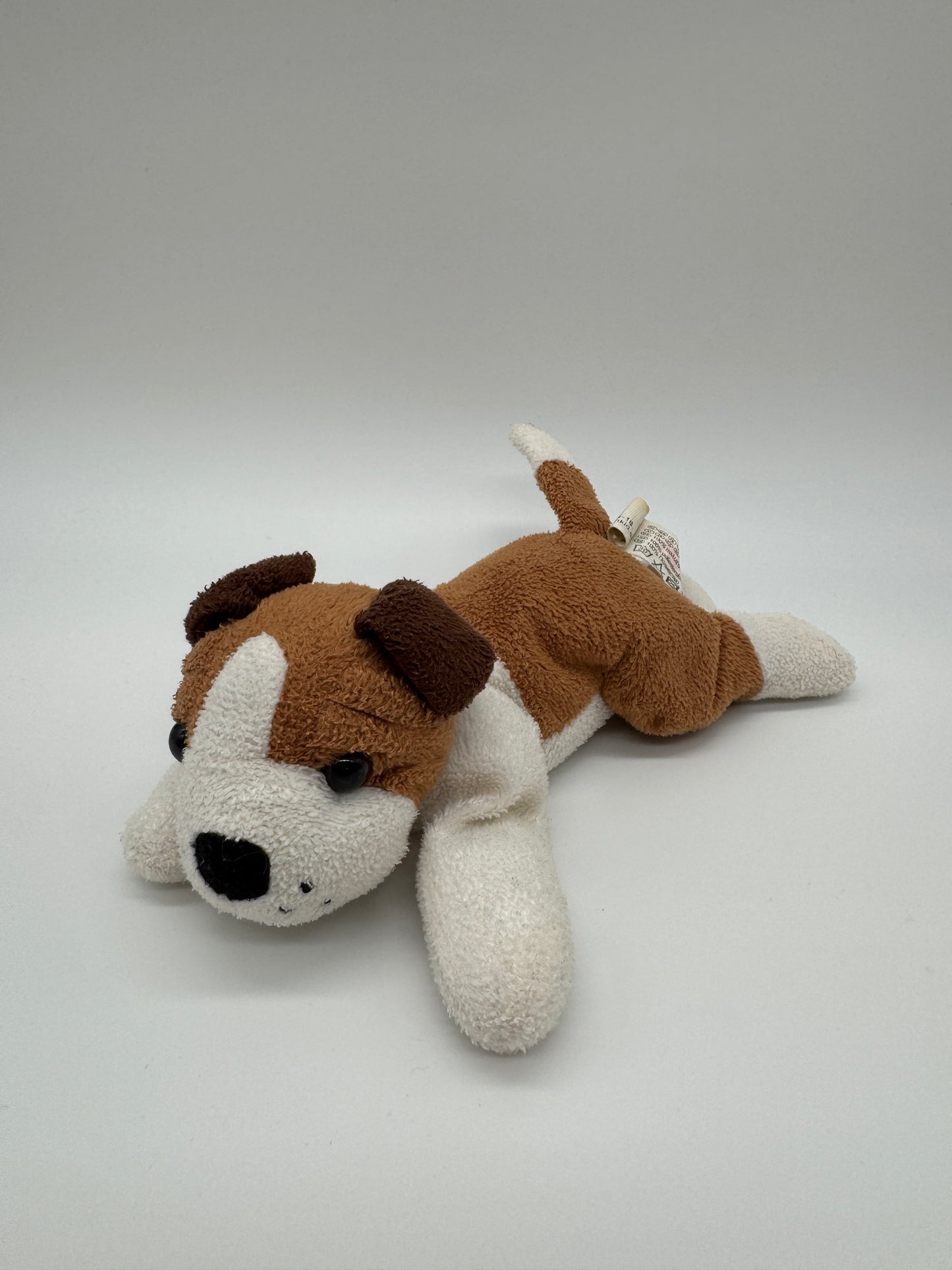 Hund sehr klein