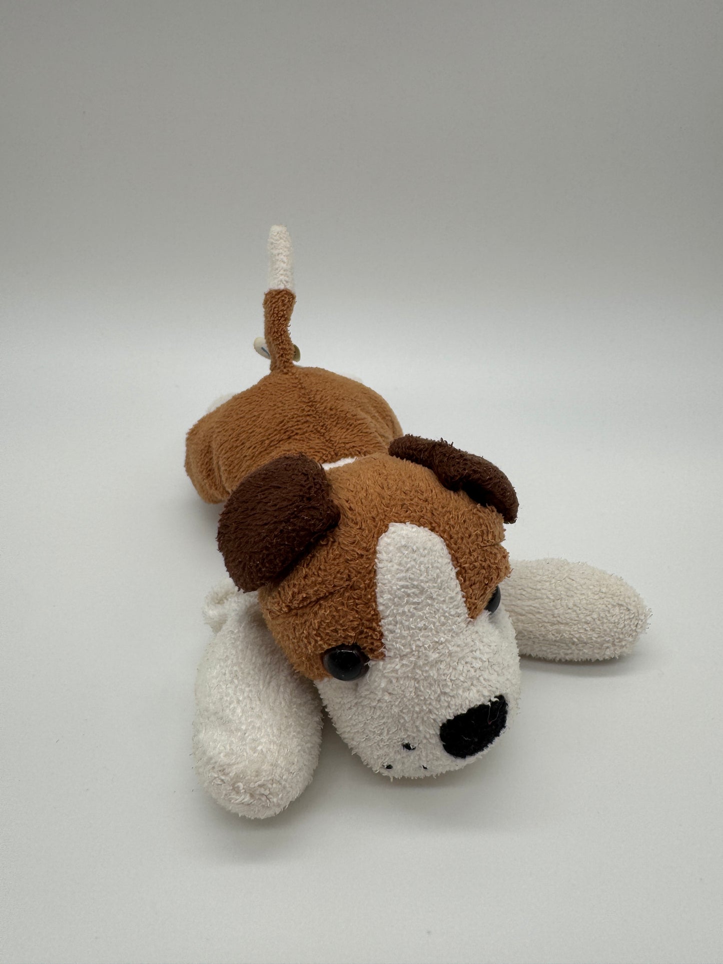 Hund sehr klein