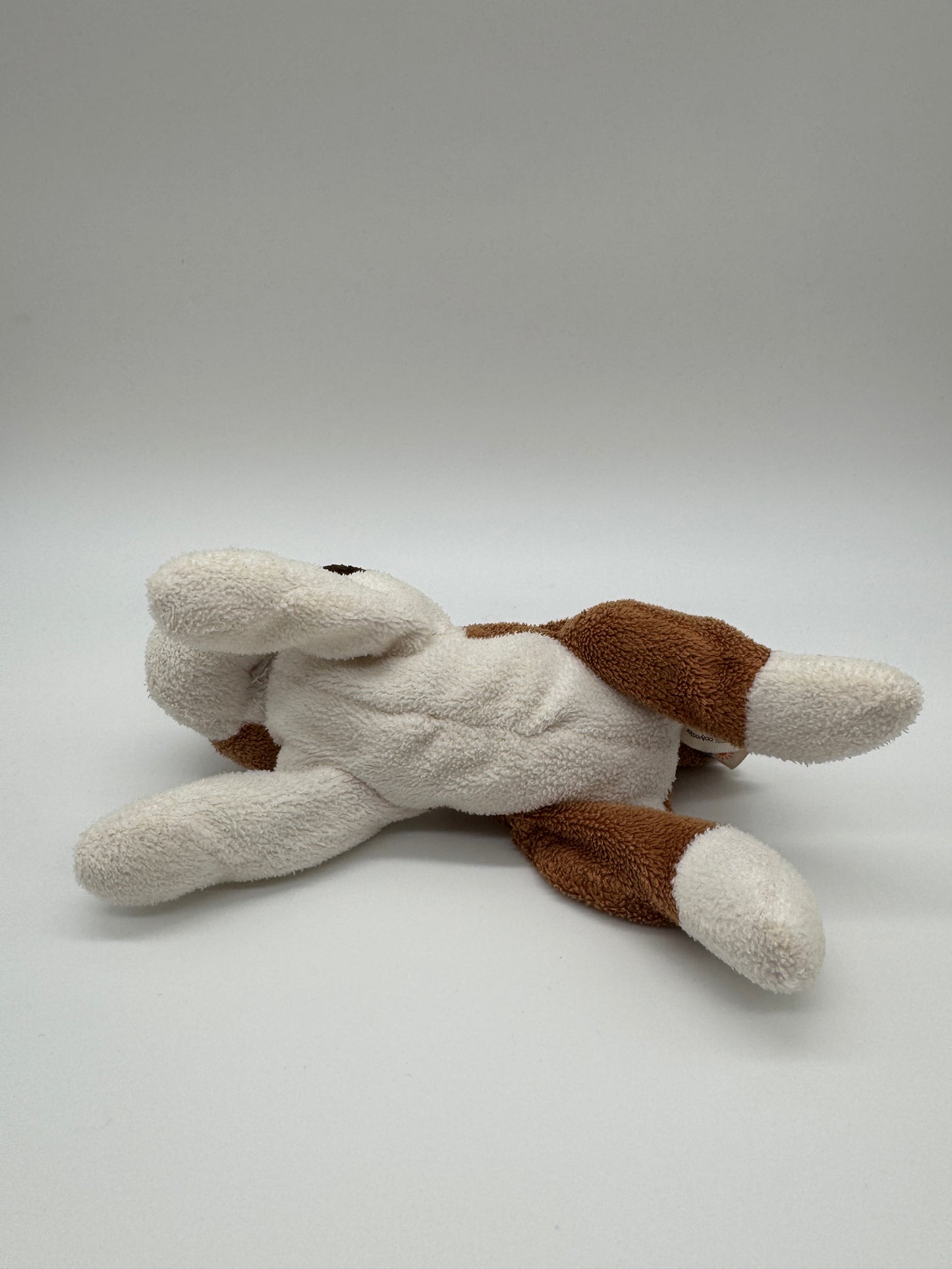 Hund sehr klein