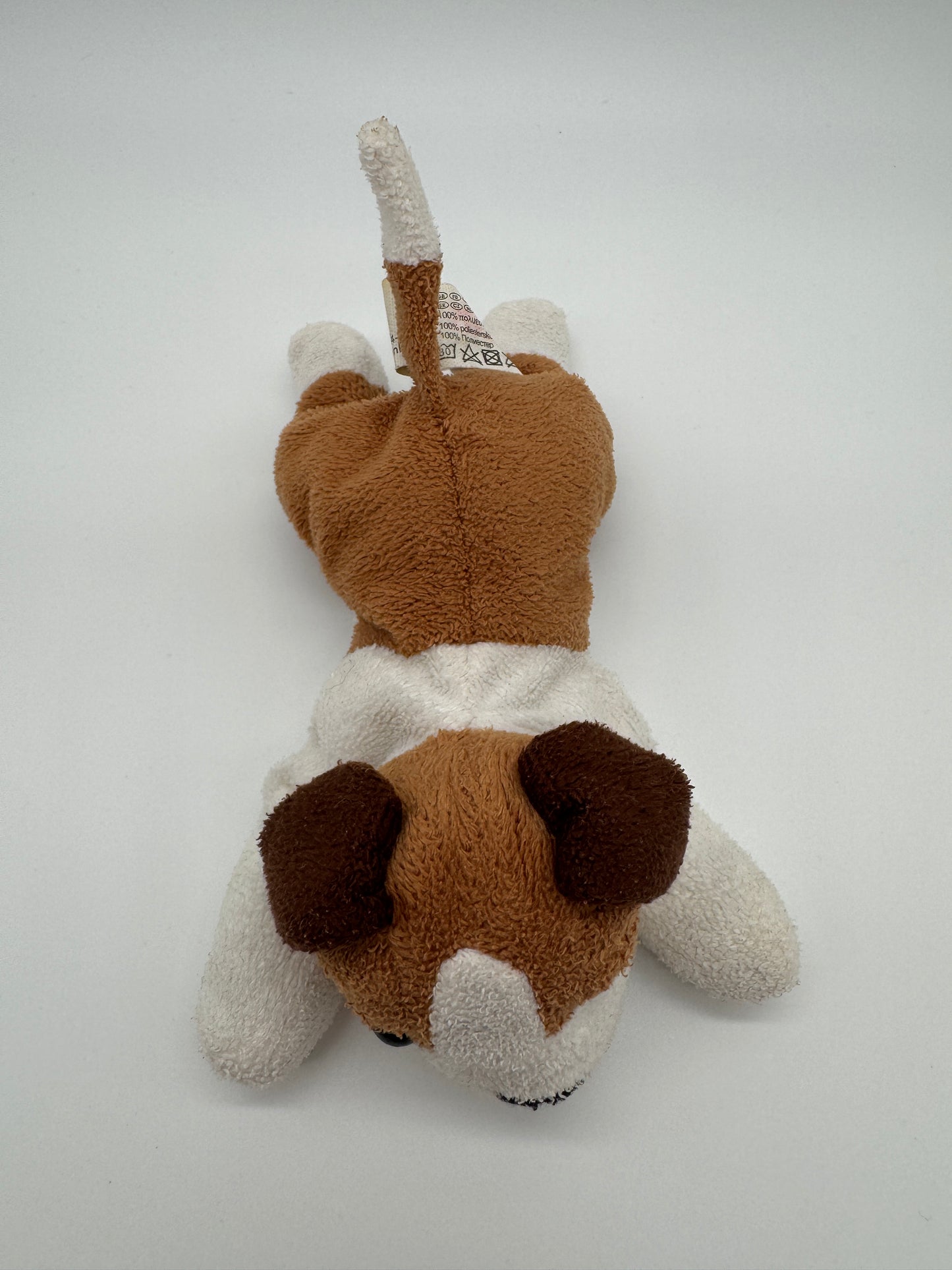 Hund sehr klein
