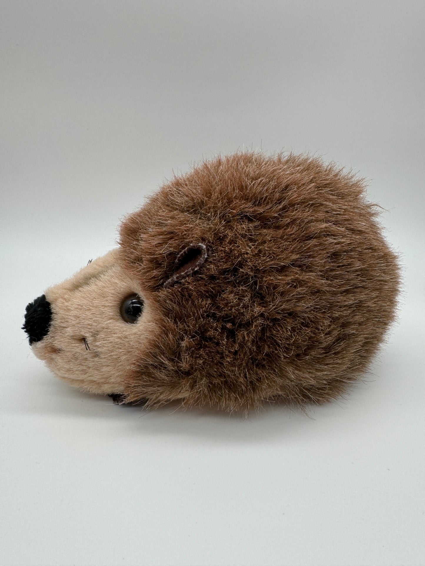 Igel