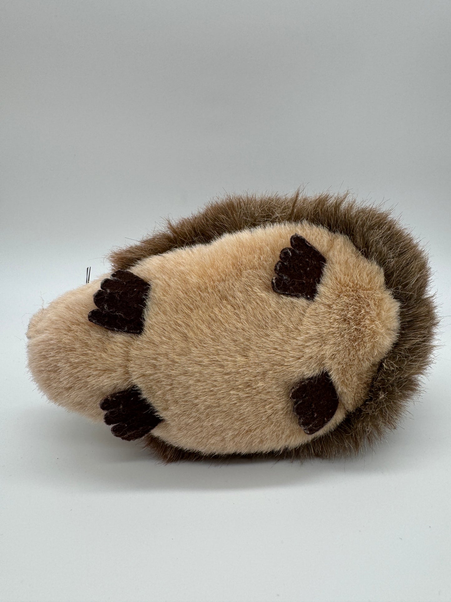 Igel