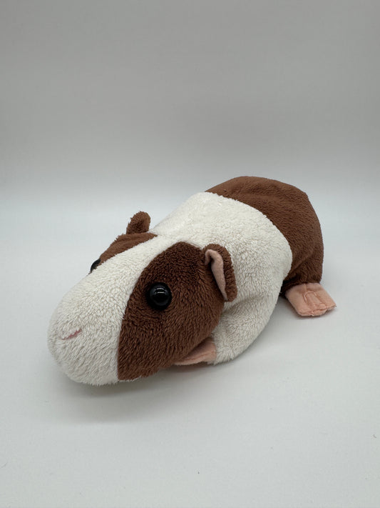 Meerschweinchen
