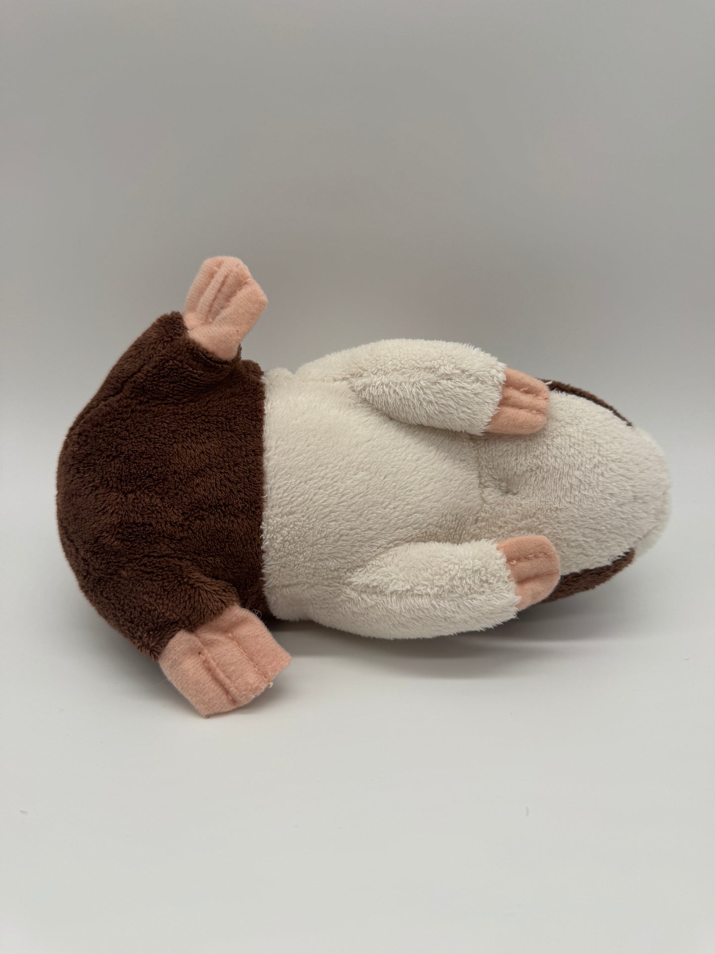 Meerschweinchen