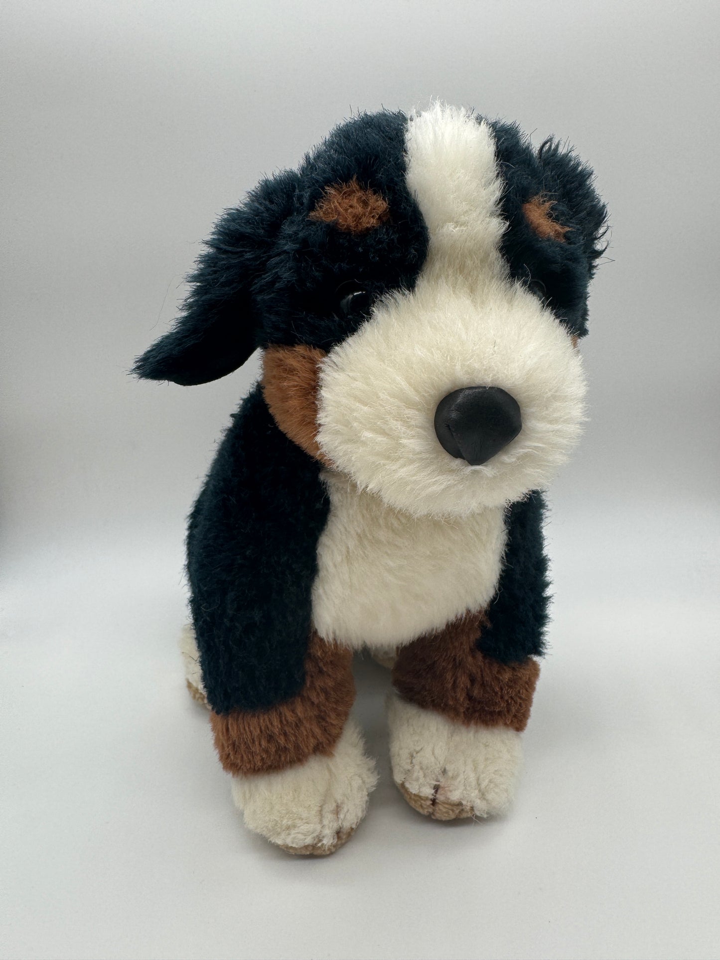 Hund Berner Sennenhund