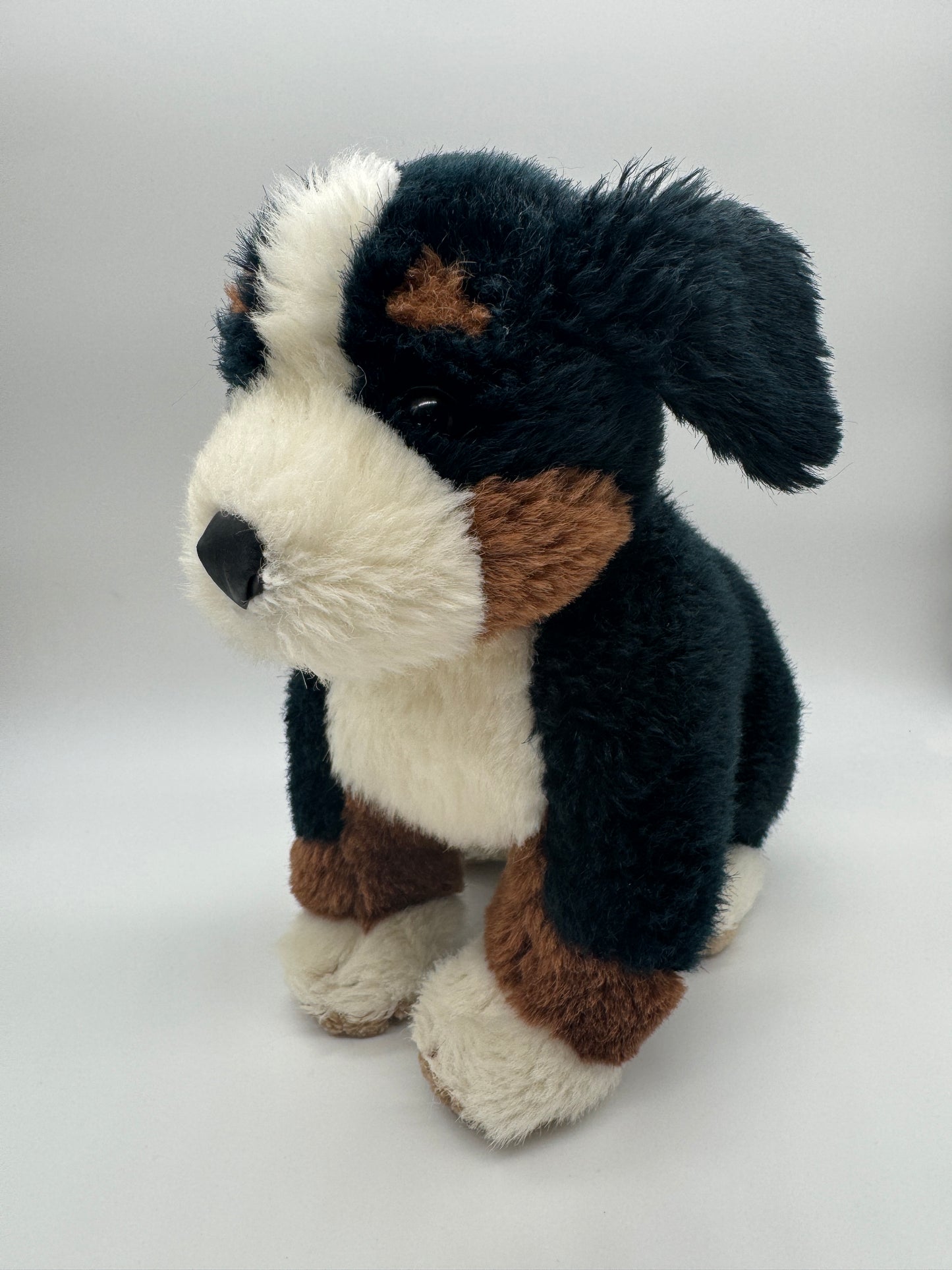 Hund Berner Sennenhund