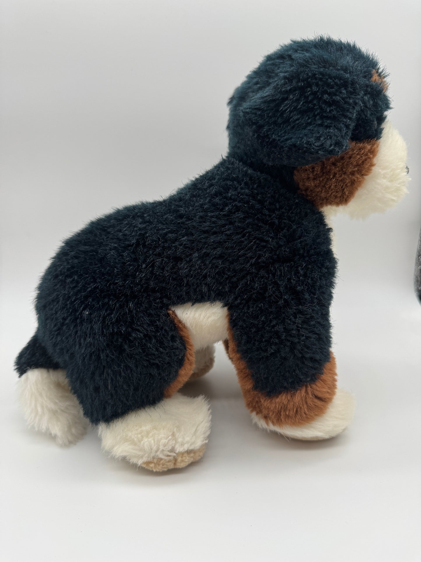 Hund Berner Sennenhund
