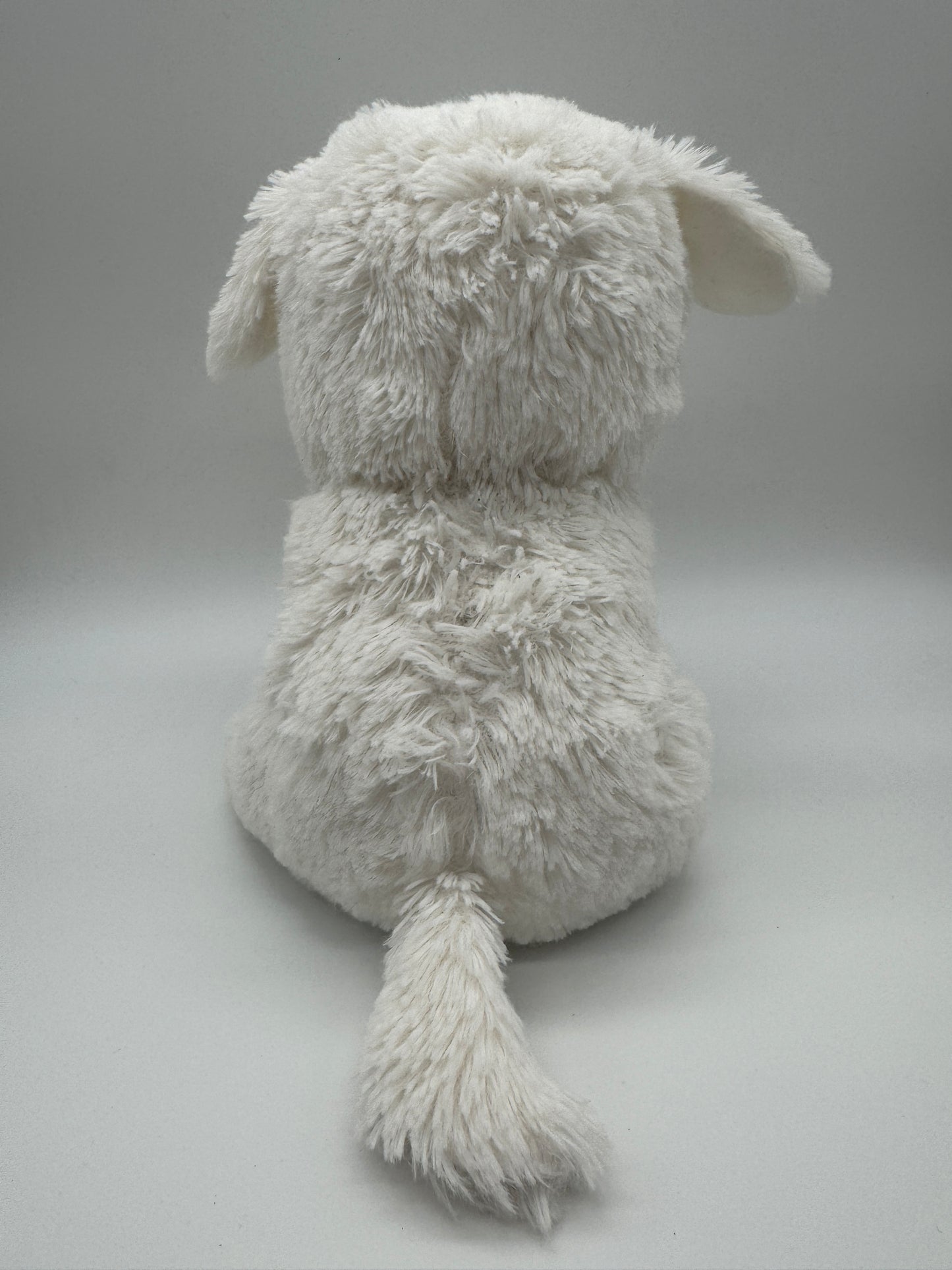 Hund Bichon Frise