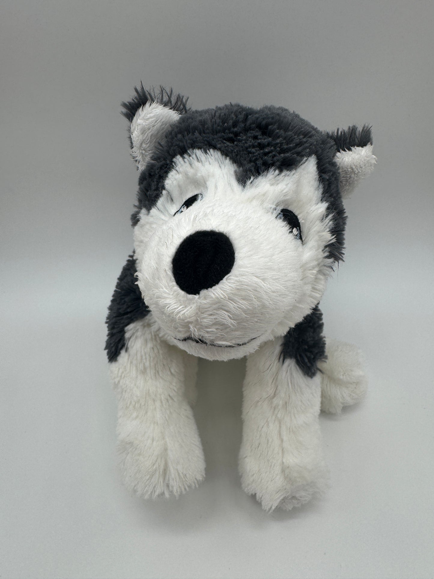 Hund Husky / Wolf