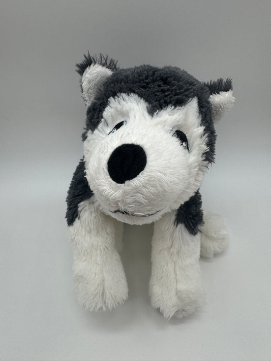 Hund Husky / Wolf