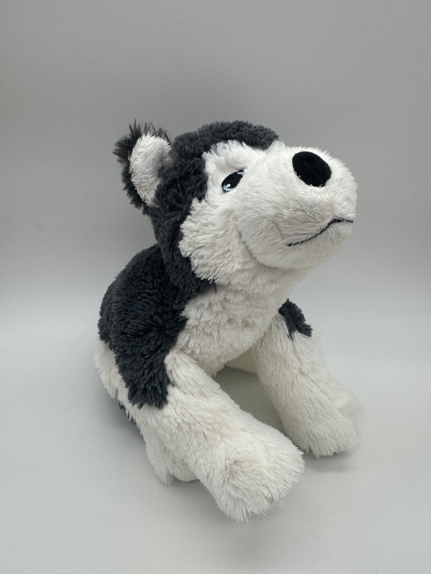 Hund Husky / Wolf