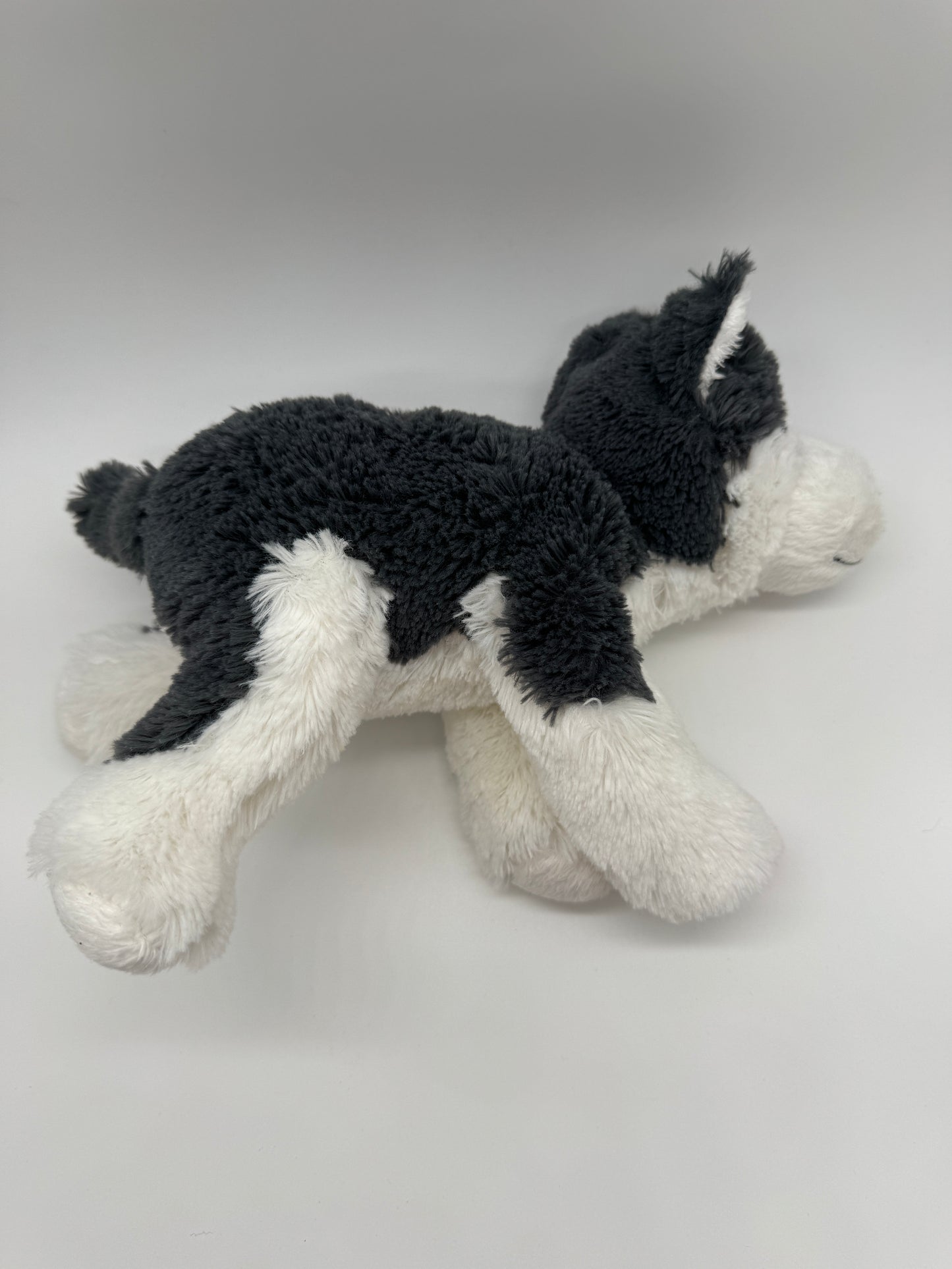 Hund Husky / Wolf