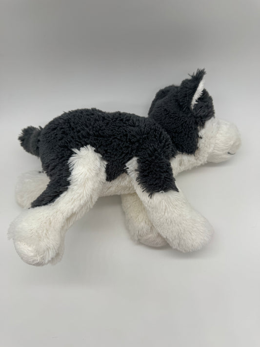 Hund Husky / Wolf