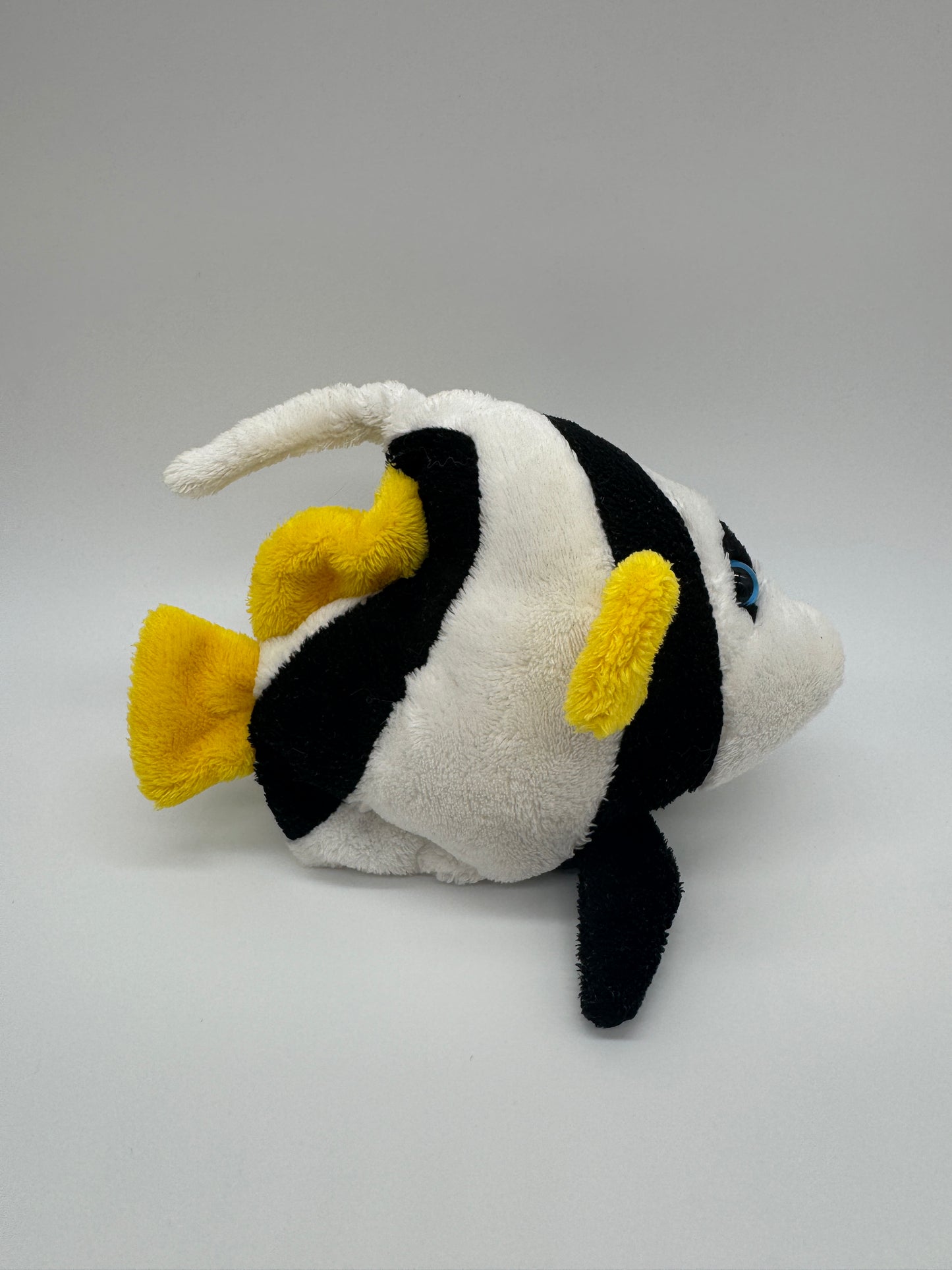 Fisch Sergeant-Major-Fisch