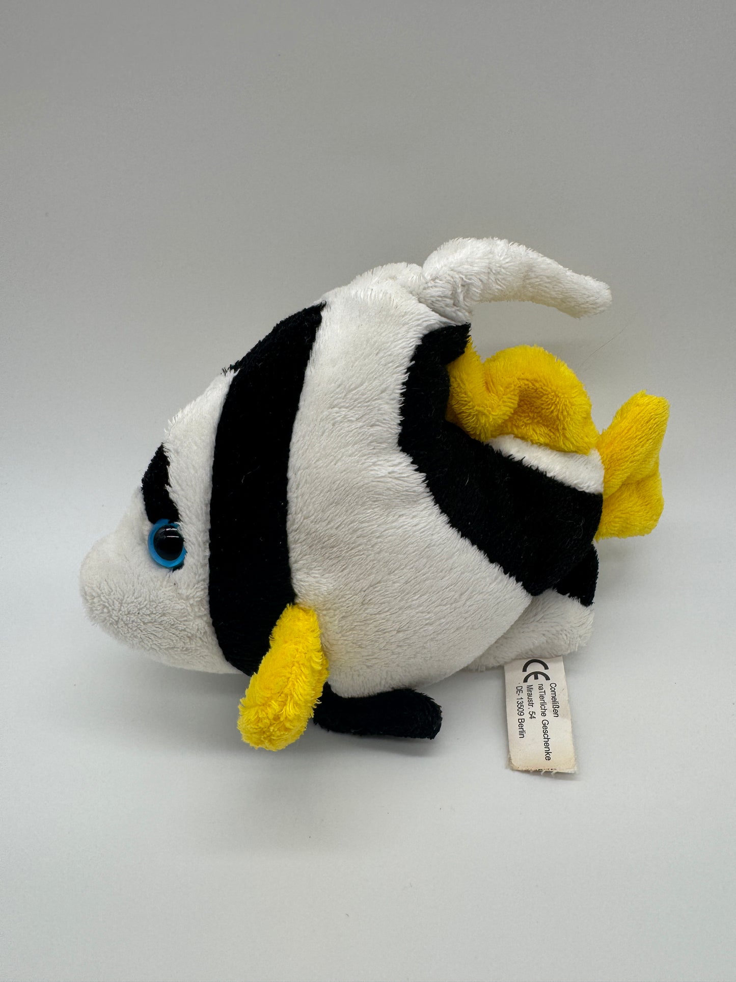Fisch Sergeant-Major-Fisch