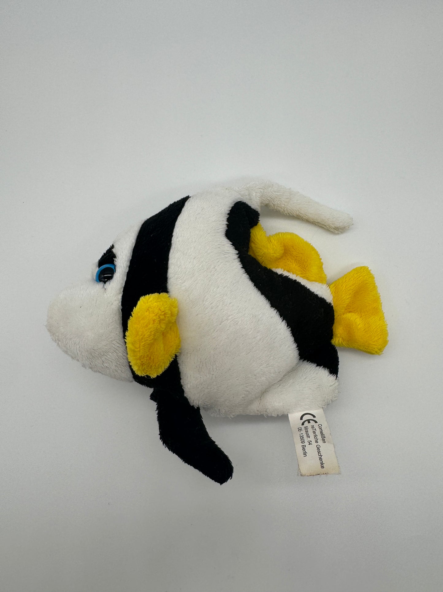 Fisch Sergeant-Major-Fisch