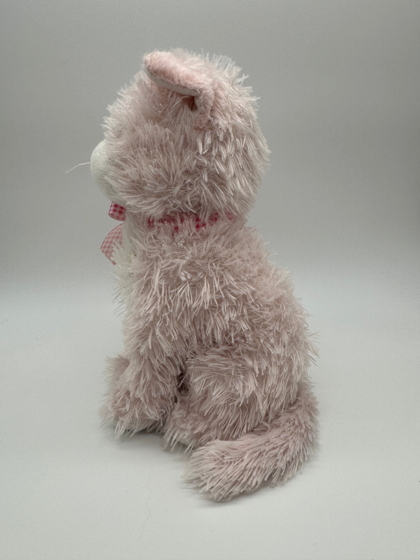 Katze Original ty