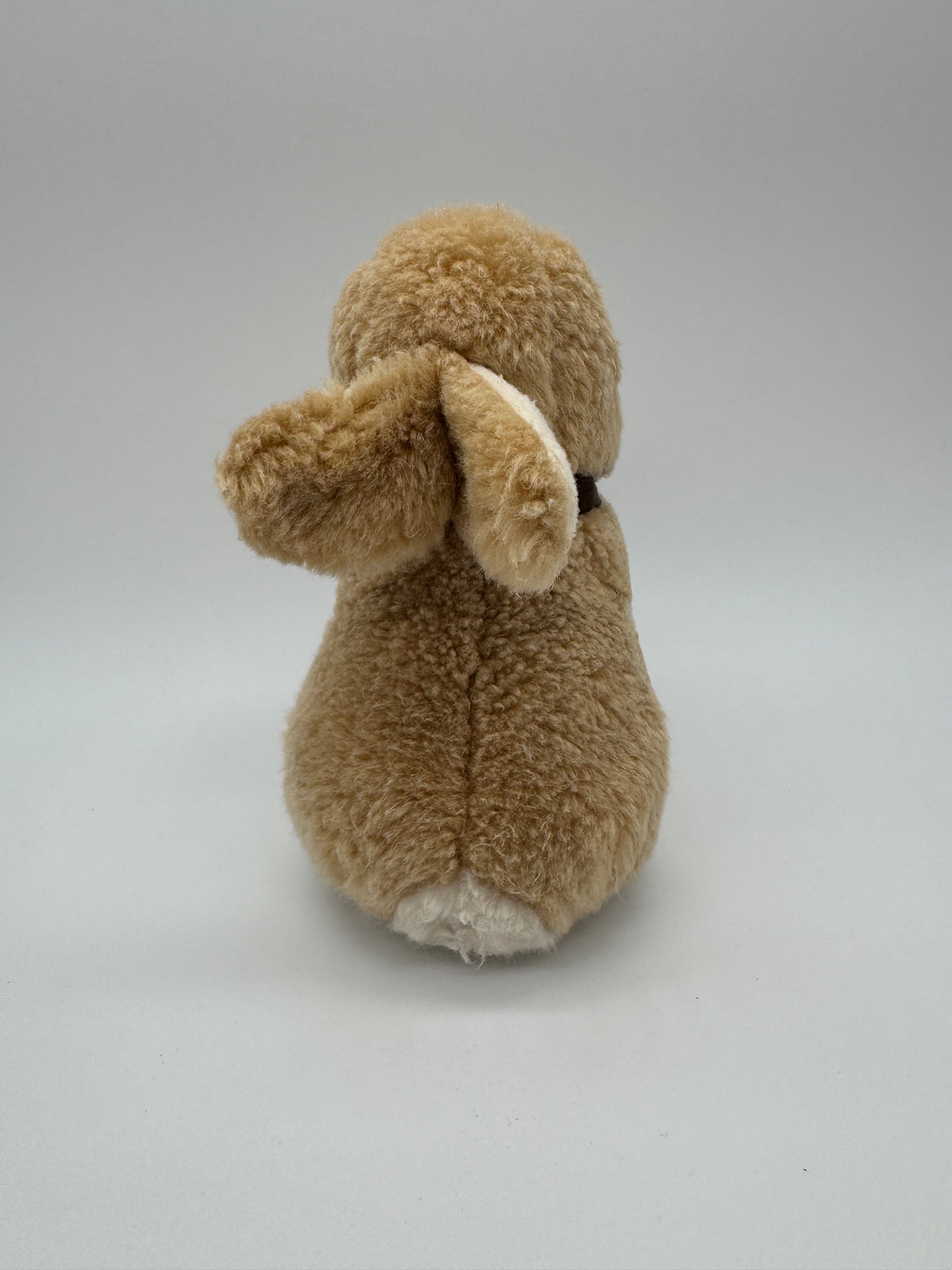 Hase