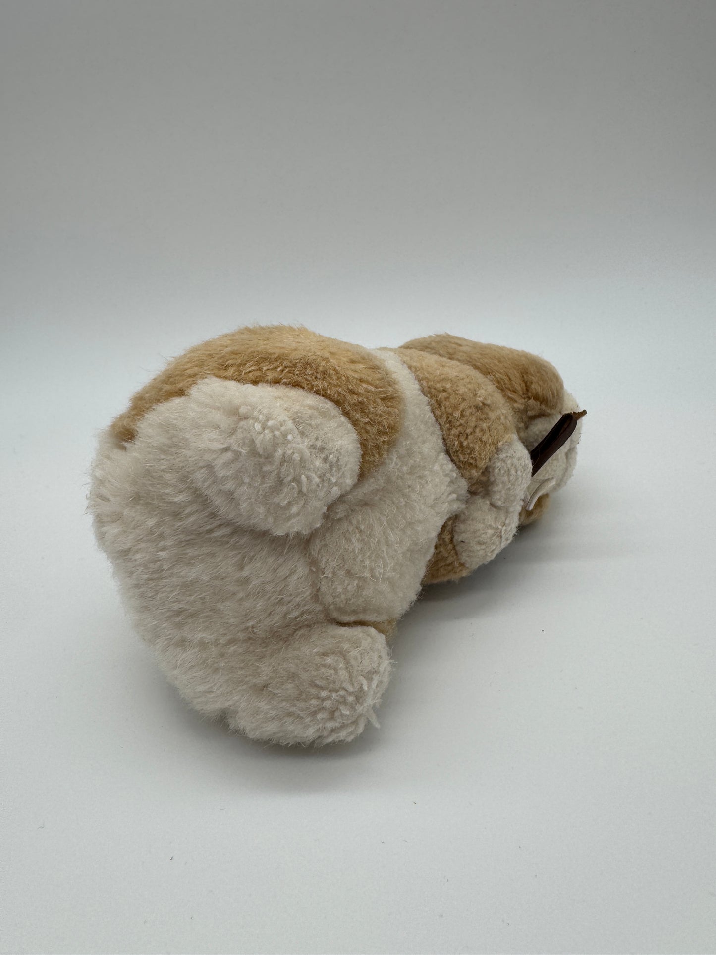 Hase