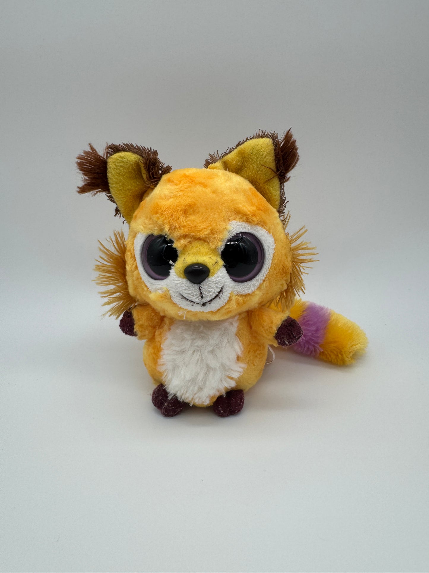 Waschbär mit Saugnapf
