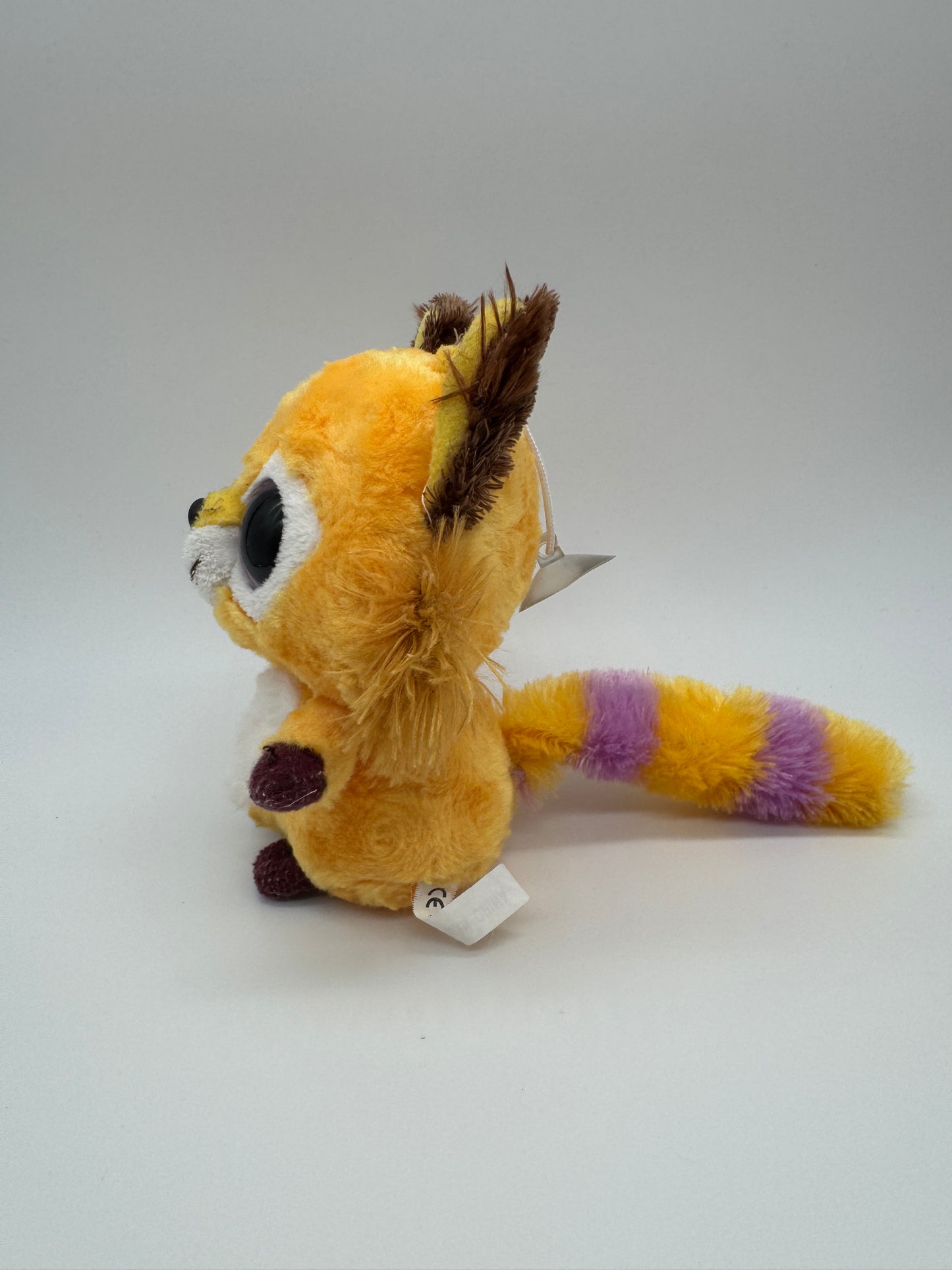 Waschbär mit Saugnapf