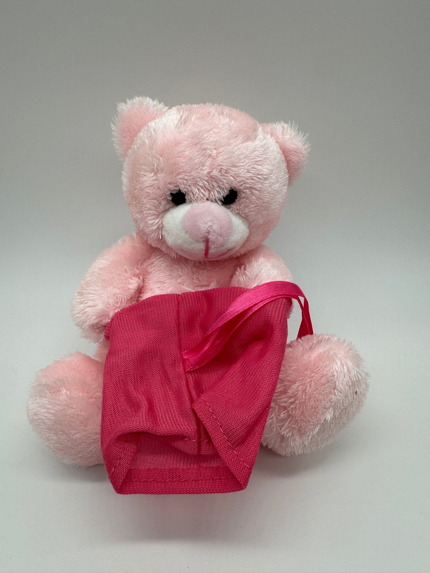 Teddybär mit Schultüte