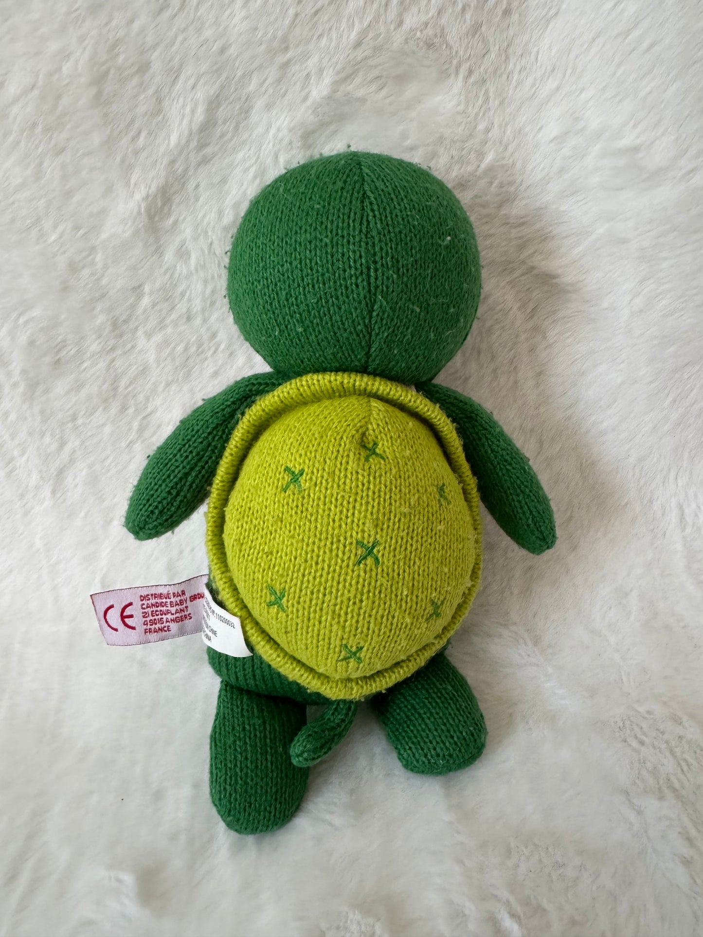 Schildkröte