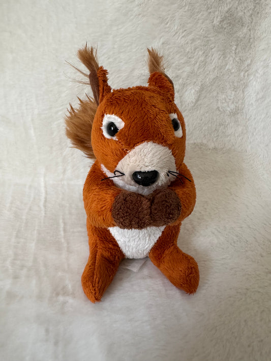 Eichhörnchen