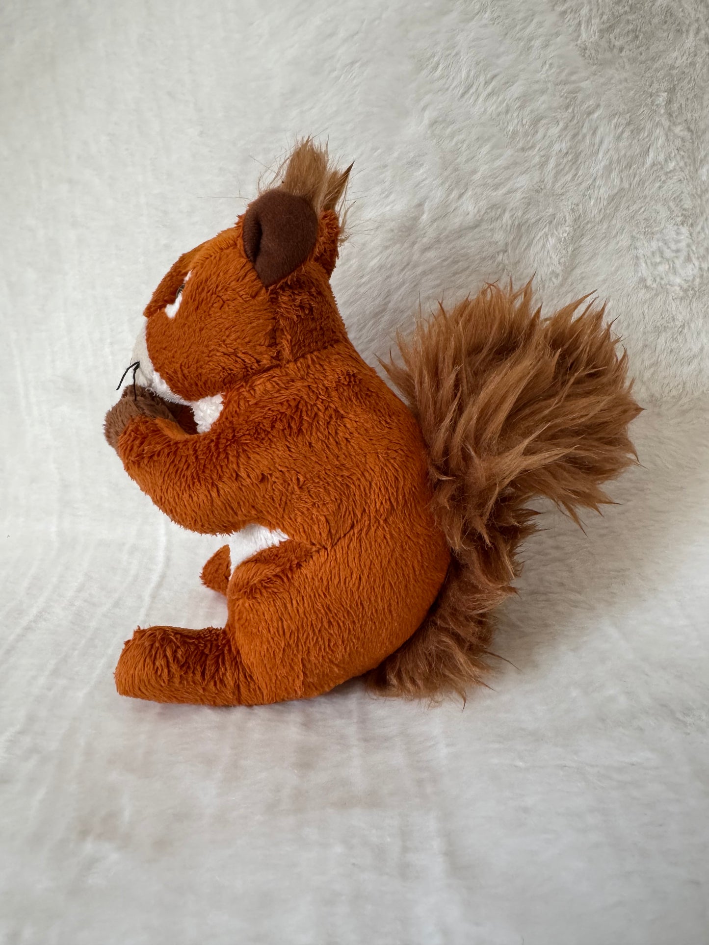 Eichhörnchen