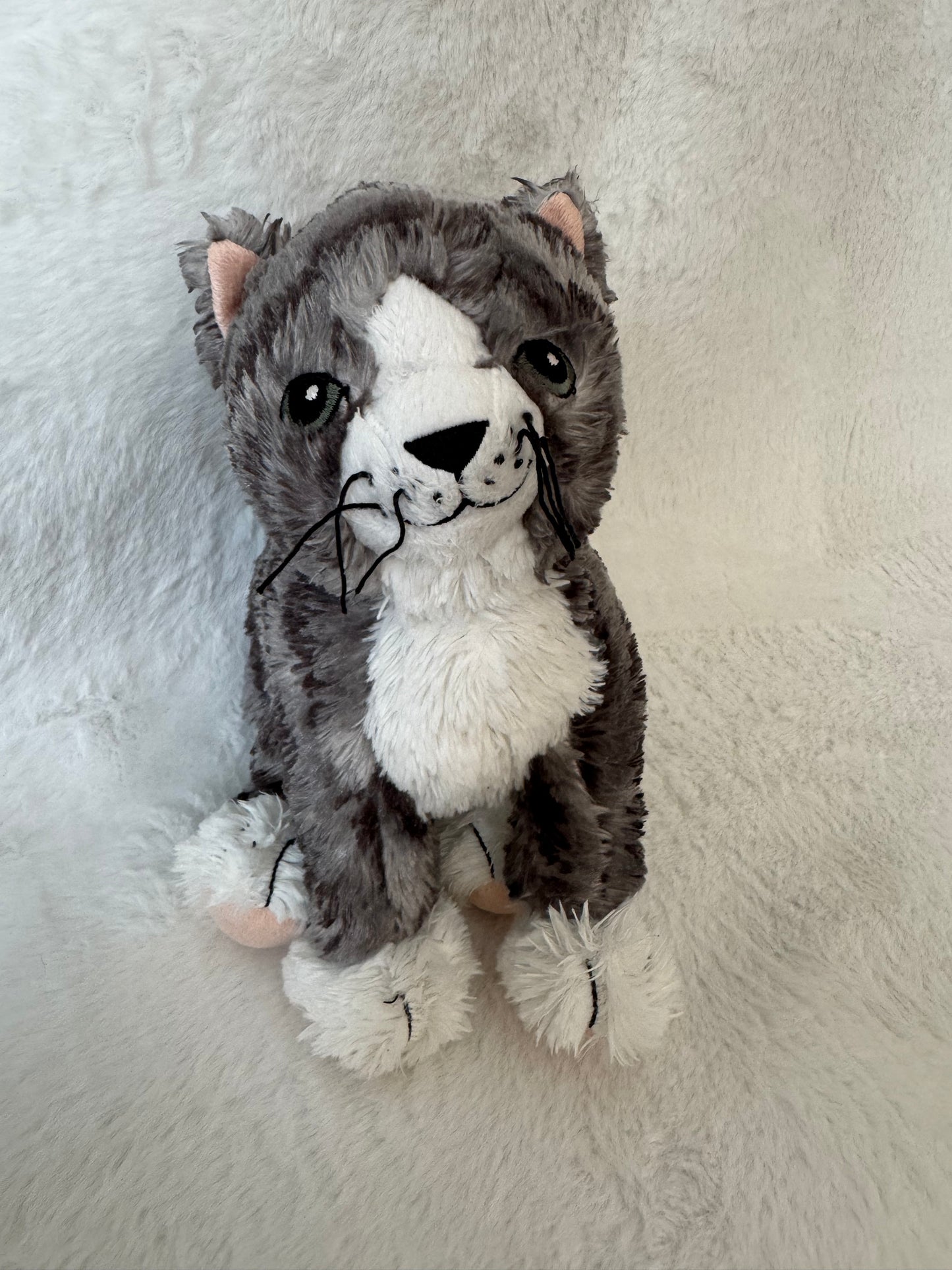 Katze