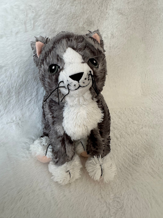 Katze