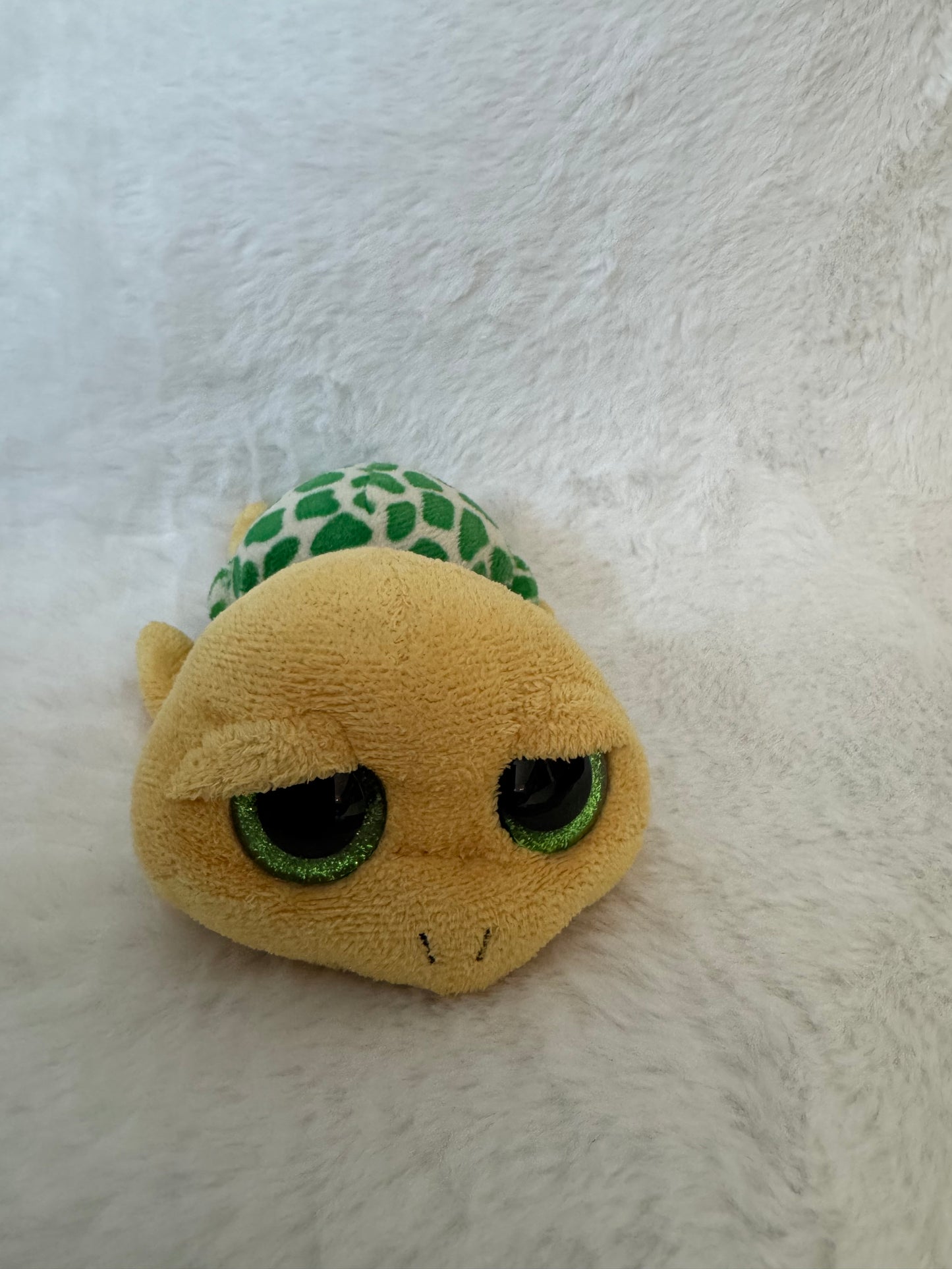 Schildkröte