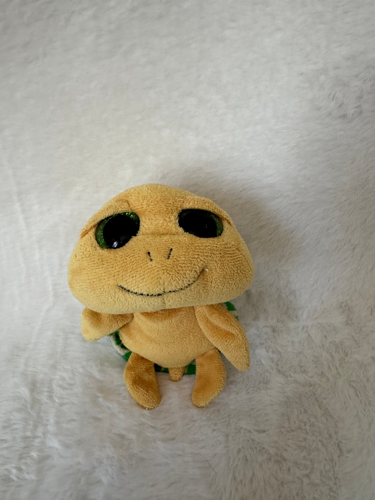 Schildkröte